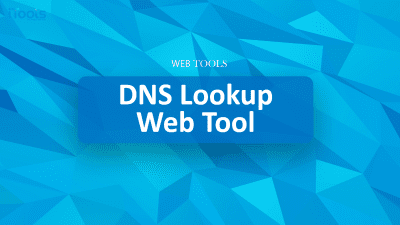 DNS Lookup